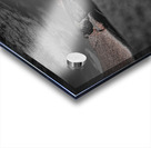 Peggys Cove Nova Scotia Canada Acrylic print