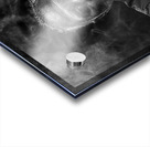 Photographer Hub Blanchette Acrylic print