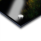 US Flag Fort Lauderdale Florida Acrylic print