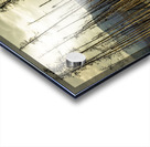 Flowers Blooming After The Jasper Alberta Canada Wild Fires Acrylic print