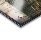 Wild Fires Whistler Campground In Jasper Alberta Canada Acrylic print