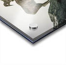 Mountain Goat Jasper Alberta Canada Acrylic print