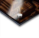 Kevin And Binny 160 Acrylic print