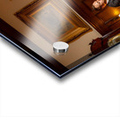 Kevin And Binny 154 Acrylic print