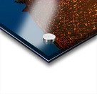 The Kelpies Falkirk Scotland UK Acrylic print