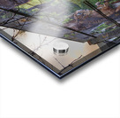 Fellow Glasgow Residents Mural Glasgow Scotland UK Acrylic print