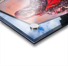 The Lost Giant Mural Glasgow Scotland UK Acrylic print