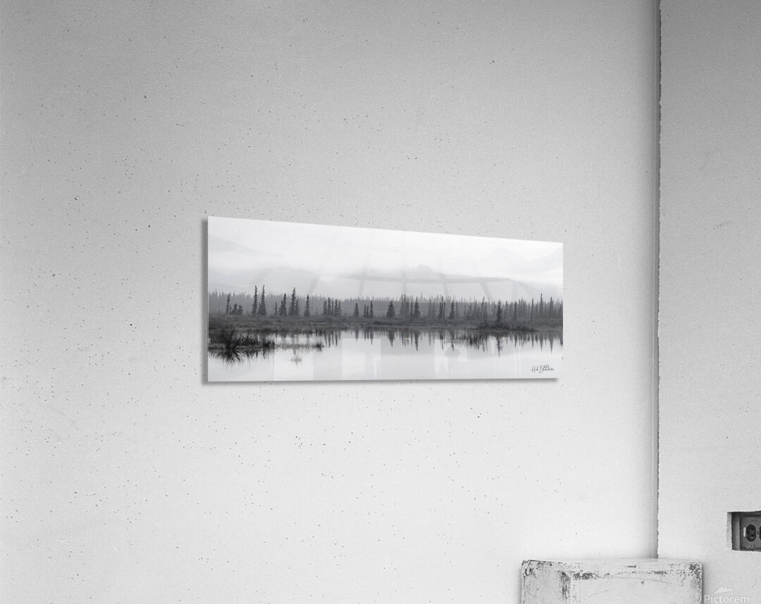 Haunted Forest In Jasper Alberta Canada Acrylic Print