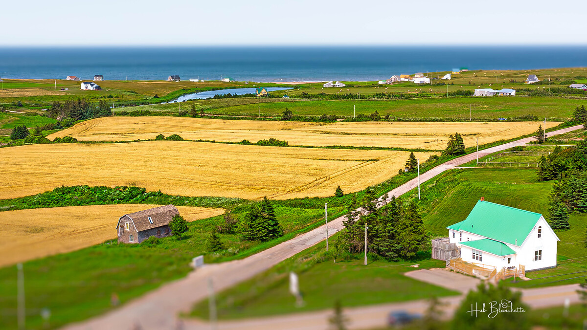 Impression de cadre personnalisé