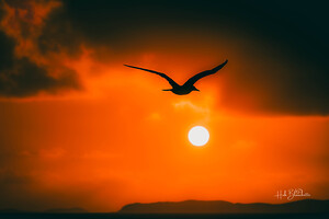 Sunrise While Approaching The United States Virgin Islands