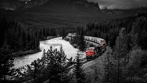 CN Train Morants Curve Lake Louise Alberta Canada