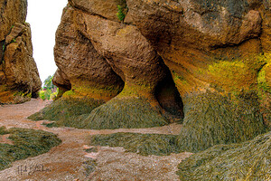 Low Tide Hopewell New Brunswick Canada