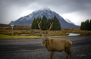 Buachaille Etive Mor Mountain Scotland UK