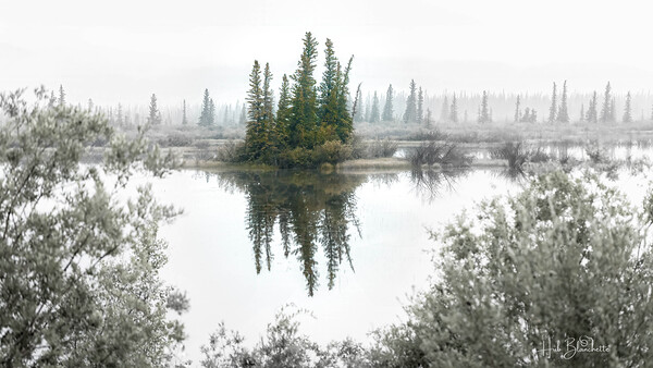 Foggy Eerie Morning in Jasper Alberta Canada  Print