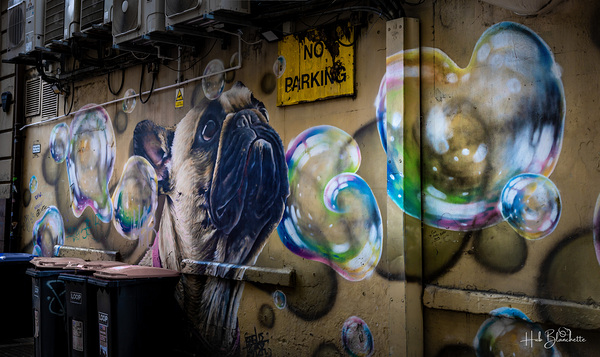 The Pug Mural Glasgow Scotland UK Print