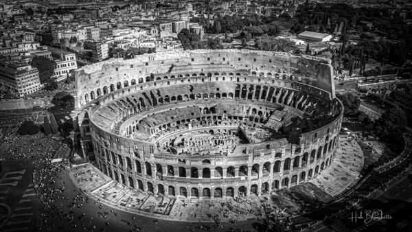 Colosseum Rome Italy Print