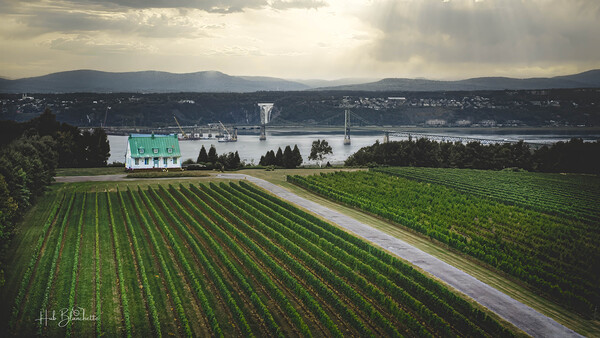 Vignoble Ste-Petronille Ile d’Orleans Quebec Canada Print