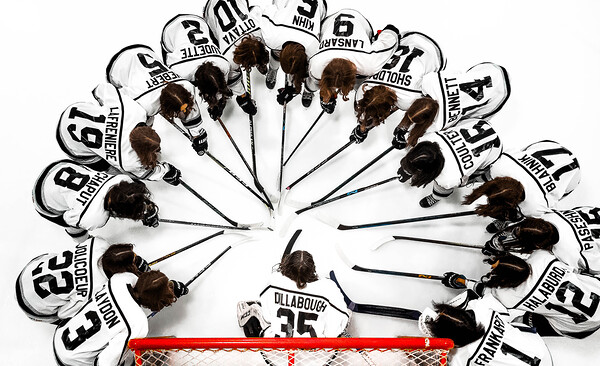 U15 Female Shark Team Photo Print