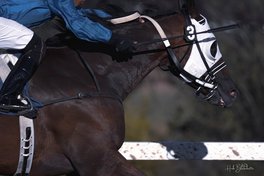 I Can See The Finish Line Assiniboia Downs Winnipeg Manitoba Canada  Print