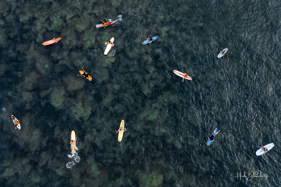 Patiently Waiting Sayulita Mexico  Print
