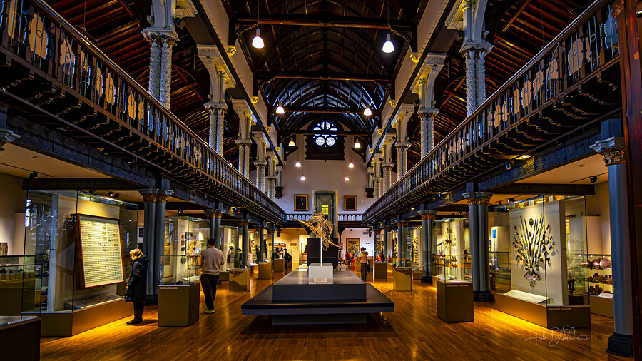 Hunterian Museum The Great Hall Glasgow Scotland UK  Print