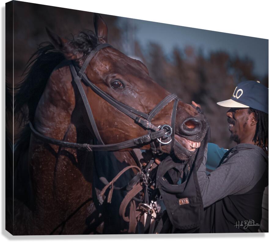 Happy Co-Workers Assiniboia Downs Winnipeg Manitoba Canada Canvas Print