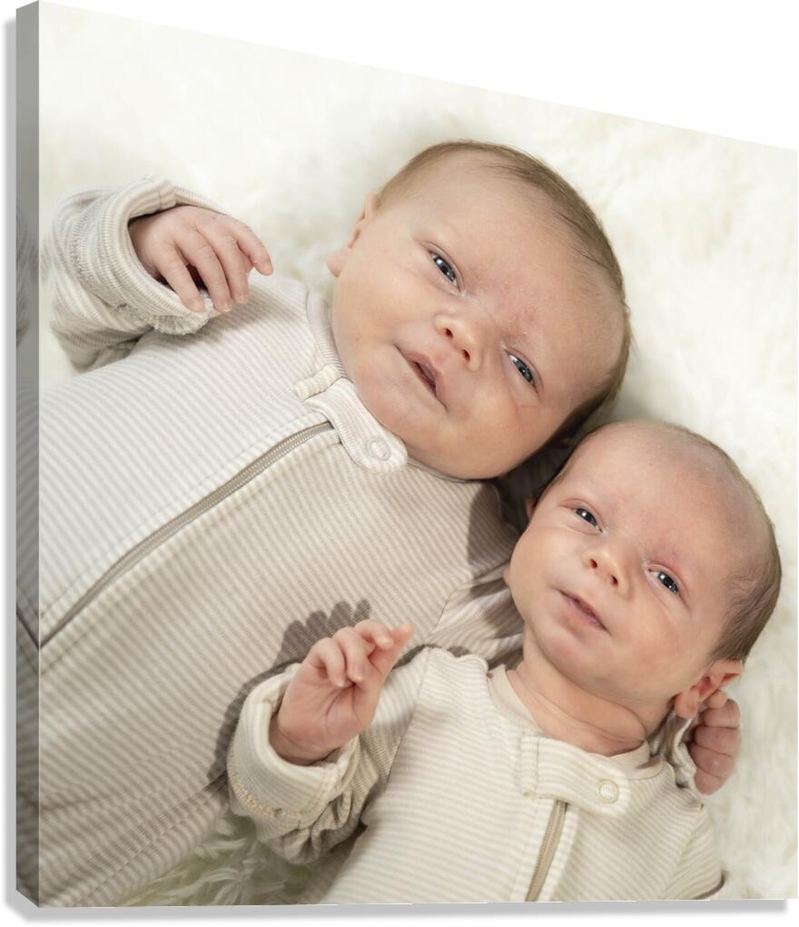 Fraternal Twin Boys Canvas Print