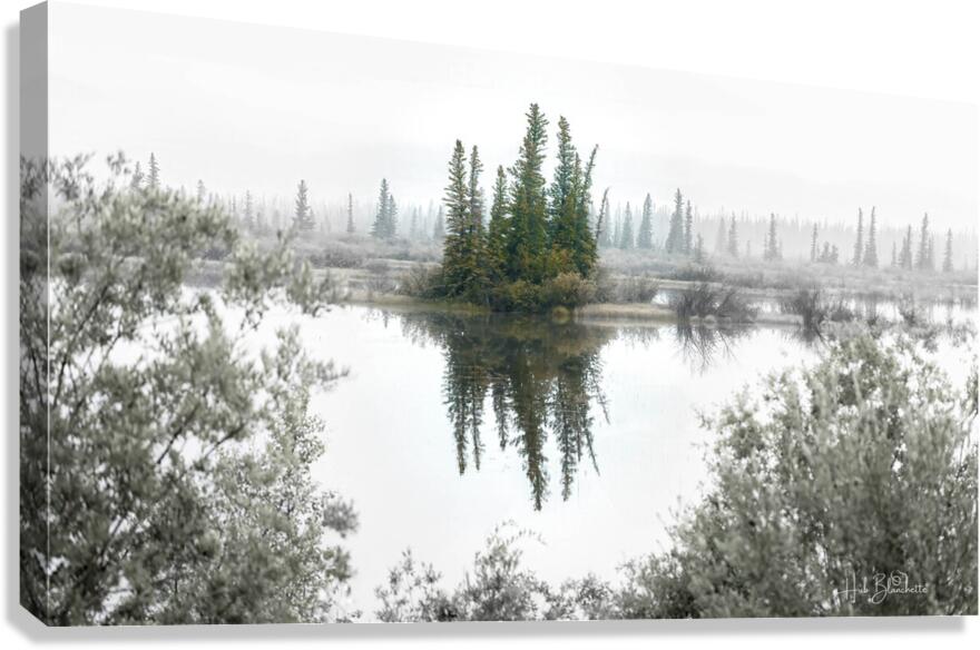 Foggy Eerie Morning in Jasper Alberta Canada  Canvas Print