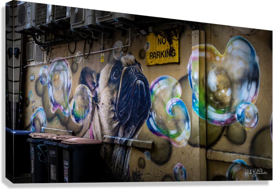 The Pug Mural Glasgow Scotland UK Canvas Print