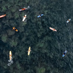 Patiently Waiting Sayulita Mexico