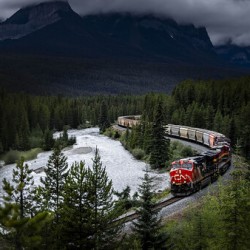 CN Train At Morants Curve In Lake Louise Alberta Canada