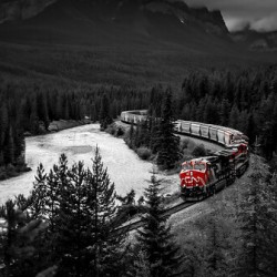 CN Train Morants Curve Lake Louise Alberta Canada