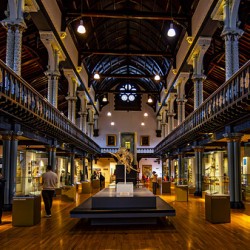 Hunterian Museum The Great Hall Glasgow Scotland UK