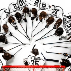 U15 Female Shark Team Photo