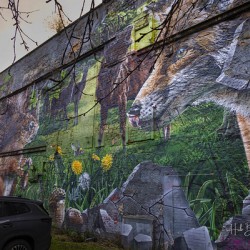 Fellow Glasgow Residents Mural Glasgow Scotland UK