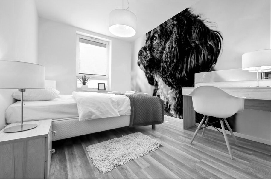 Little Daisy  Mural print