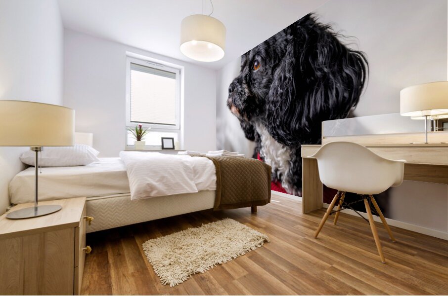 Little Daisy Mural print