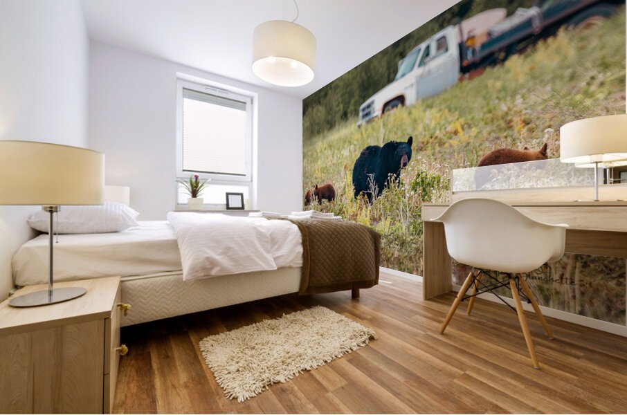 Black Momma Bear Three Cinnamon Cubs Lac Du Bonnet Manitoba Canada Mural print