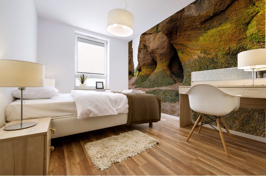 Low Tide Hopewell New Brunswick Canada Mural print