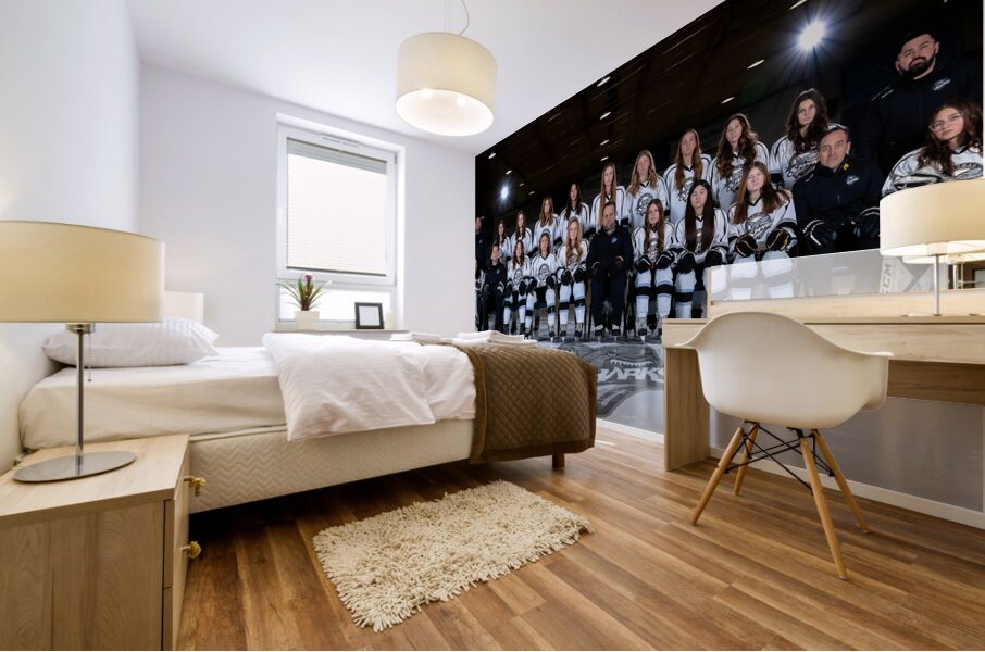 U15 Female Shark Team Photo Mural print