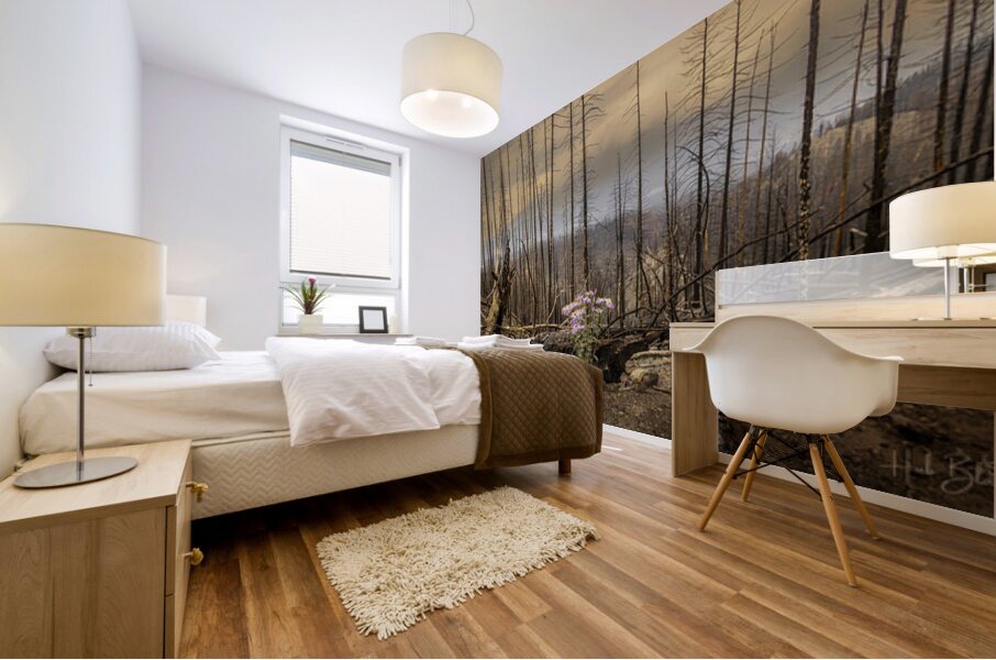 Destruction And Growth Jasper Alberta Canada Mural print