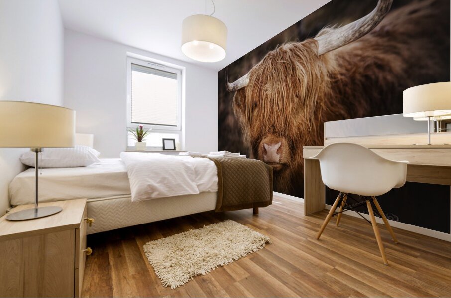 The Highland cow Scotland UK Mural print