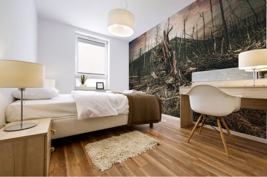 Wild Fires Whistler Campground In Jasper Alberta Canada Mural print