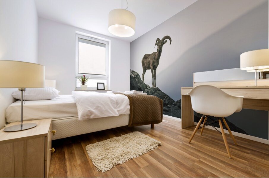 Mountain Goat Jasper Alberta Canada Mural print