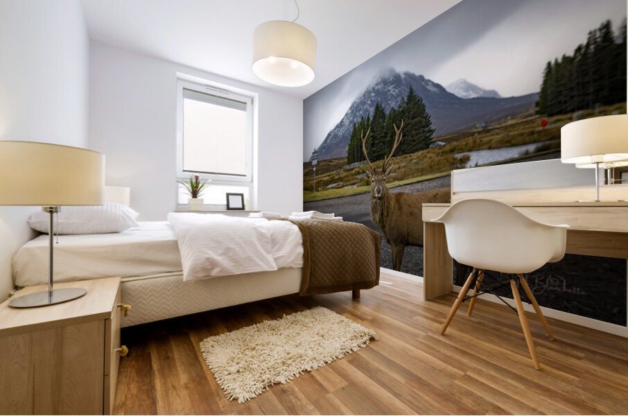 Buachaille Etive Mor Mountain Scotland UK Mural print