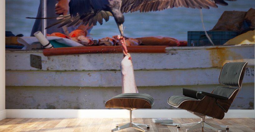 Daily Struggle Puerto Vallarta Wall Murals