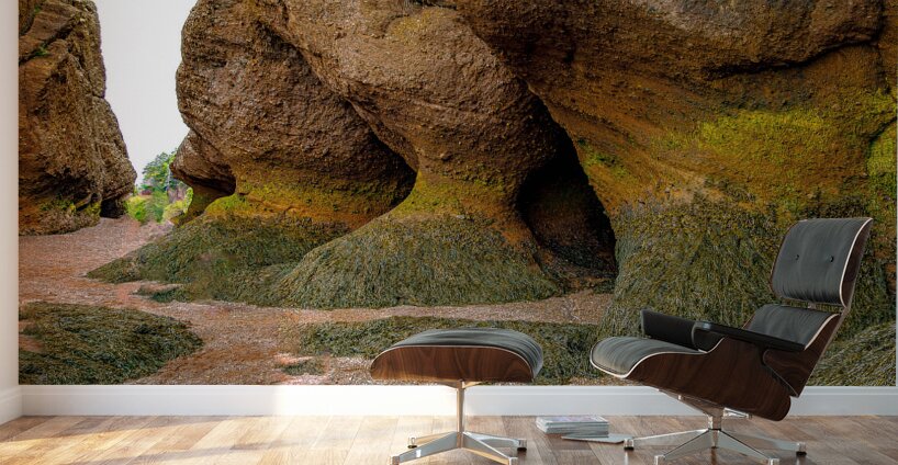 Low Tide Hopewell New Brunswick Canada Wall Murals