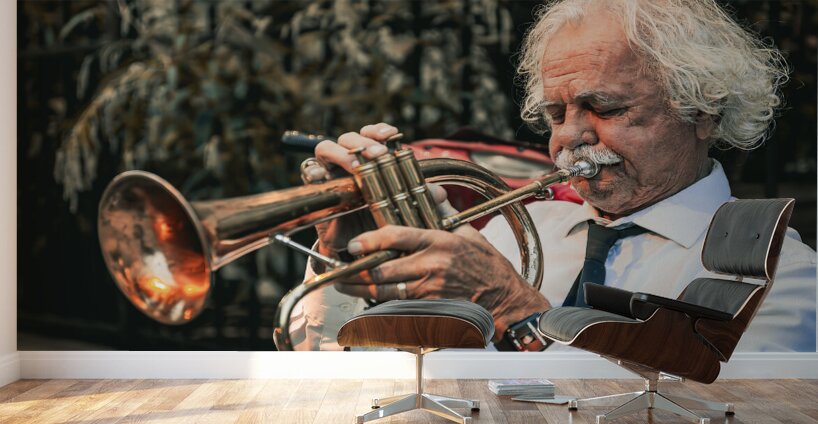 Street Musician Claude Berger Old Quebec City Canada Wall Murals