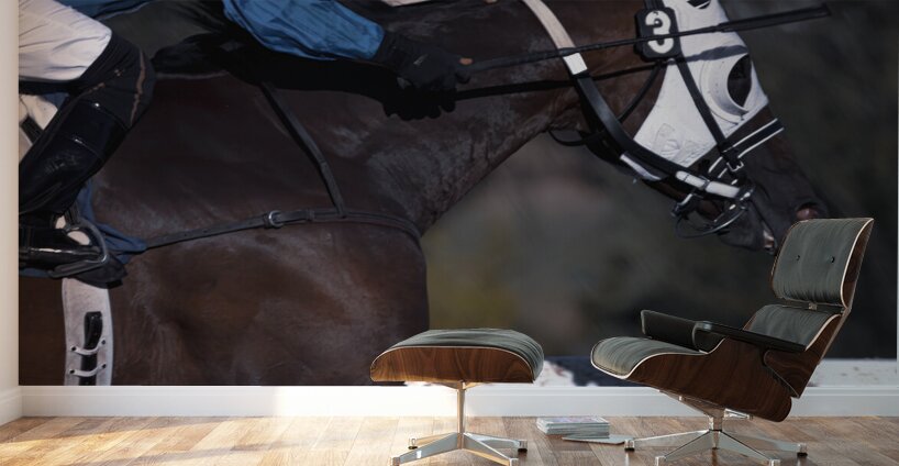 I Can See The Finish Line Assiniboia Downs Winnipeg Manitoba Canada Wall Murals