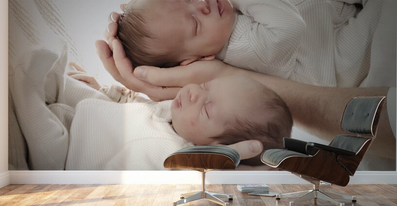 Twin Grandsons Wall Murals